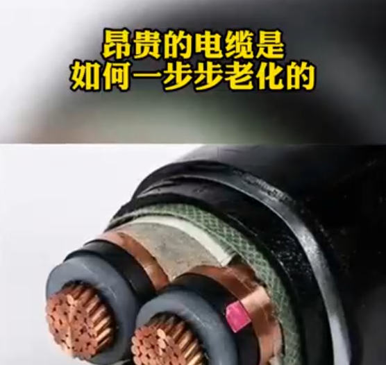 winsun第109集：winsun解決方案系列2，利用行波技術進行電纜在線監測